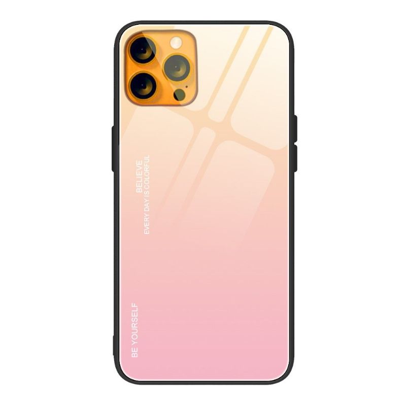 Coque iPhone 13 Pro Max dégradé de couleurs