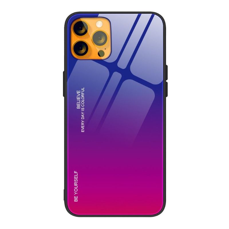 Coque iPhone 13 Pro Max dégradé de couleurs