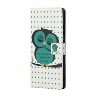 Housse Google Pixel 8A Hibou Endormi