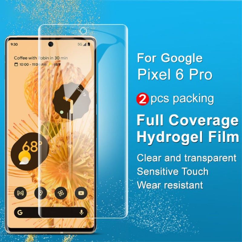 Protection d'écran Google Pixel 6 Pro en hydrogel (2 pièces)