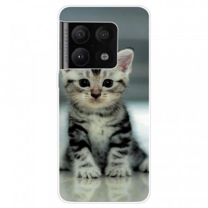 Coque OnePlus 10 Pro 5G Chaton Chaton