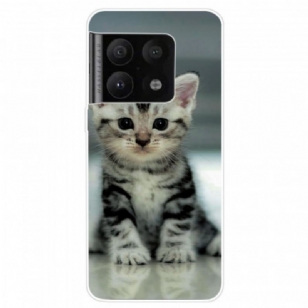 Coque OnePlus 10 Pro 5G Chaton Chaton