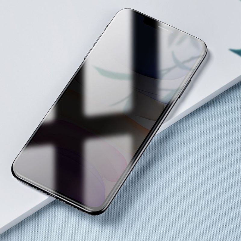 iPhone 11 Pro - Protection d'écran verre trempé et filtre de confidentialité