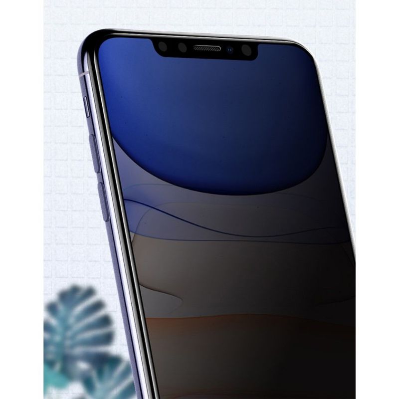 iPhone 11 Pro - Protection d'écran verre trempé et filtre de confidentialité