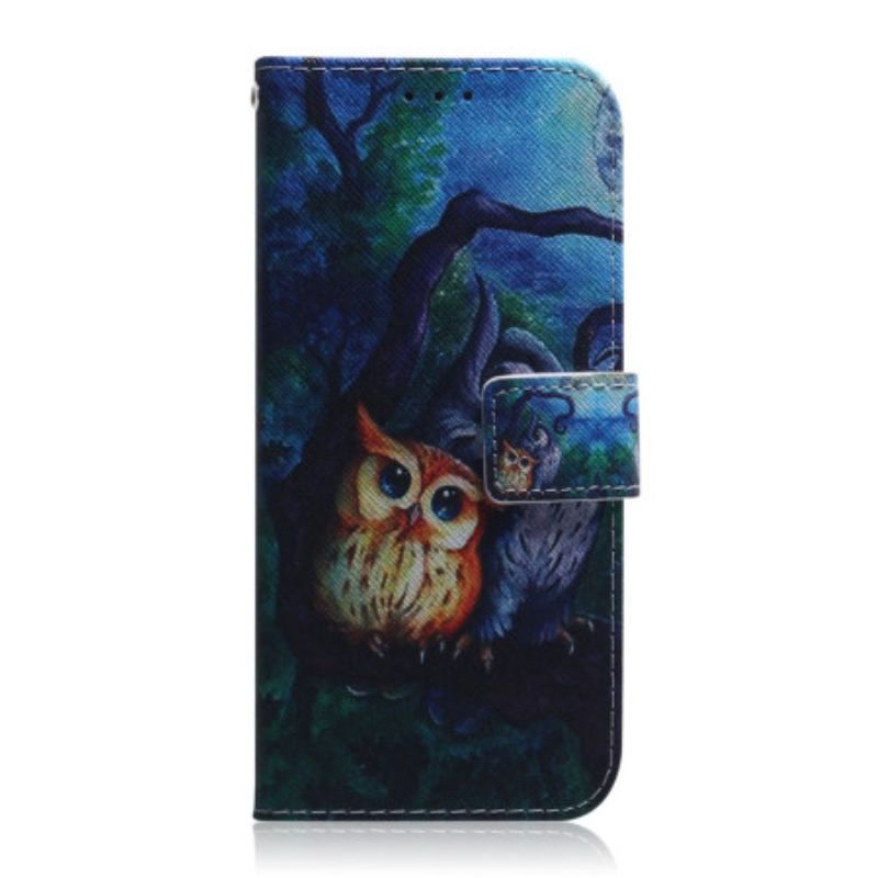 Housse Google Pixel 7 Pro Peinture Hiboux