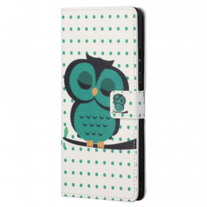 Housse Xiaomi Redmi Note 11 / 11s Hibou Endormi