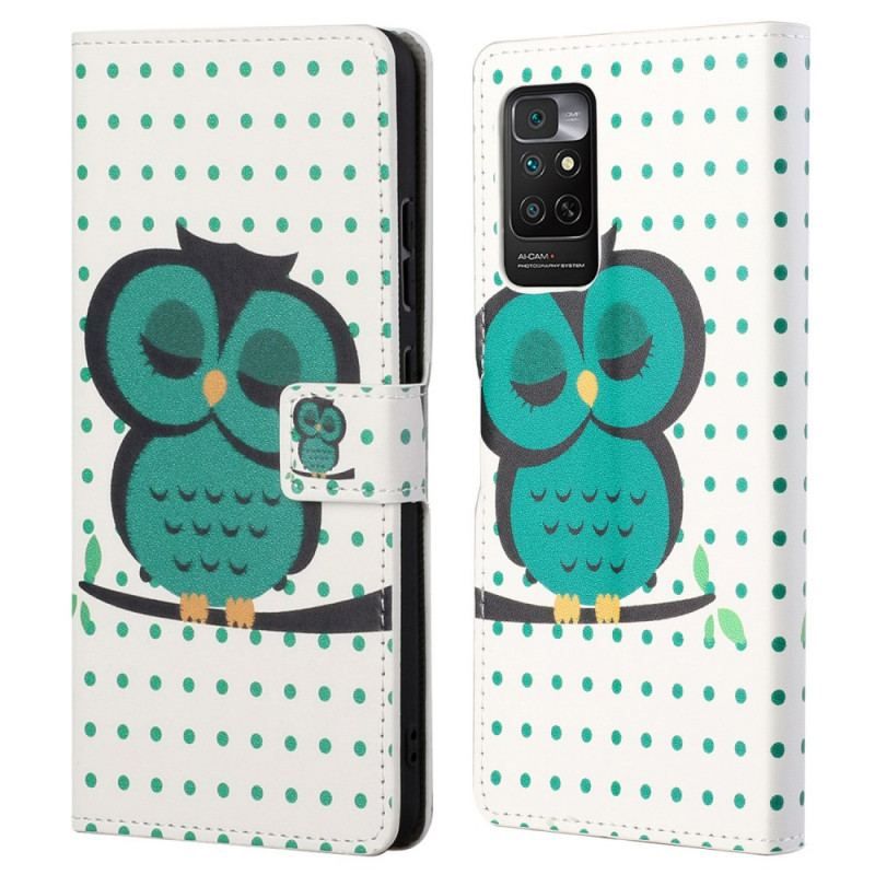 Housse Xiaomi Redmi Note 11 / 11s Hibou Endormi