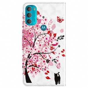 Housse Motorola Moto G71 5G Arbre à Fleurs