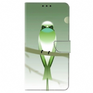 Housse Xiaomi Redmi 13C 4G/5G/Poco C65 Oiseau Vert