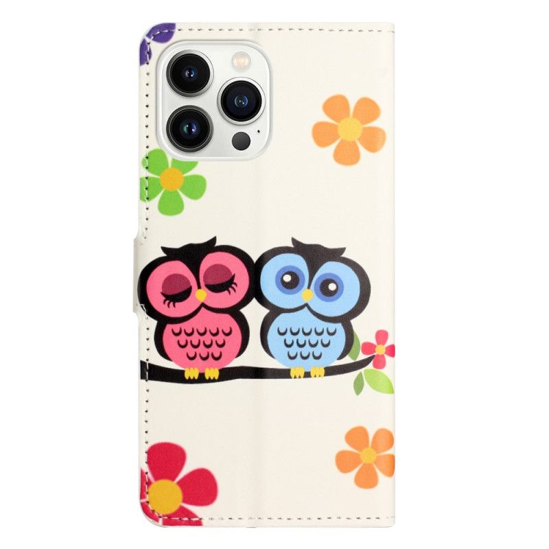 Housse iPhone 16 Pro Max Couple de Hiboux