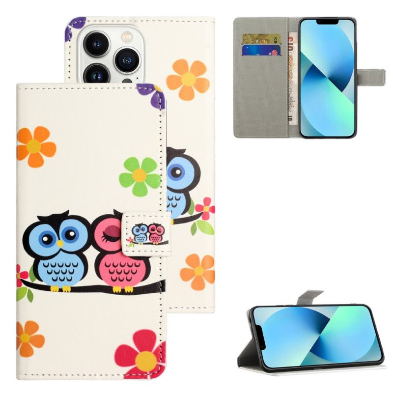 Housse iPhone 16 Pro Max Couple de Hiboux