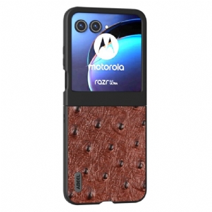 Coque Motorola Razr 50 5G Cuir Texture Autruche ABEEL