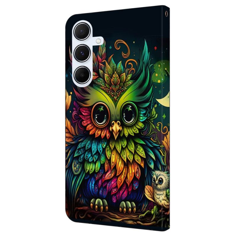 Housse Samsung Galaxy A16 4G / 5G Hibou Coloré