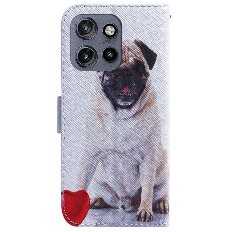 Housse Motorola Edge 50 Neo Pug Dog