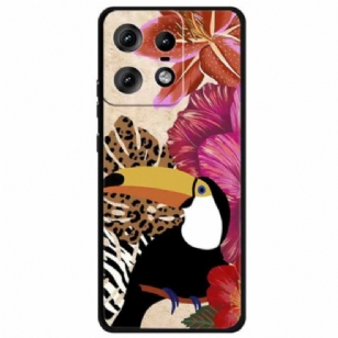 Coque Motorola Edge 50 Pro Oiseau à Bec Géant